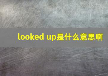 looked up是什么意思啊